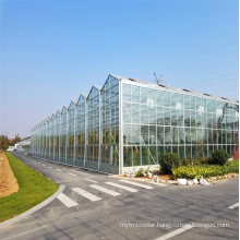 Commercial Intelligent hydroponic glass greenhouse